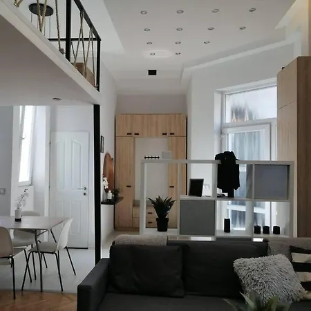Klauzal Large Design 아파트 *